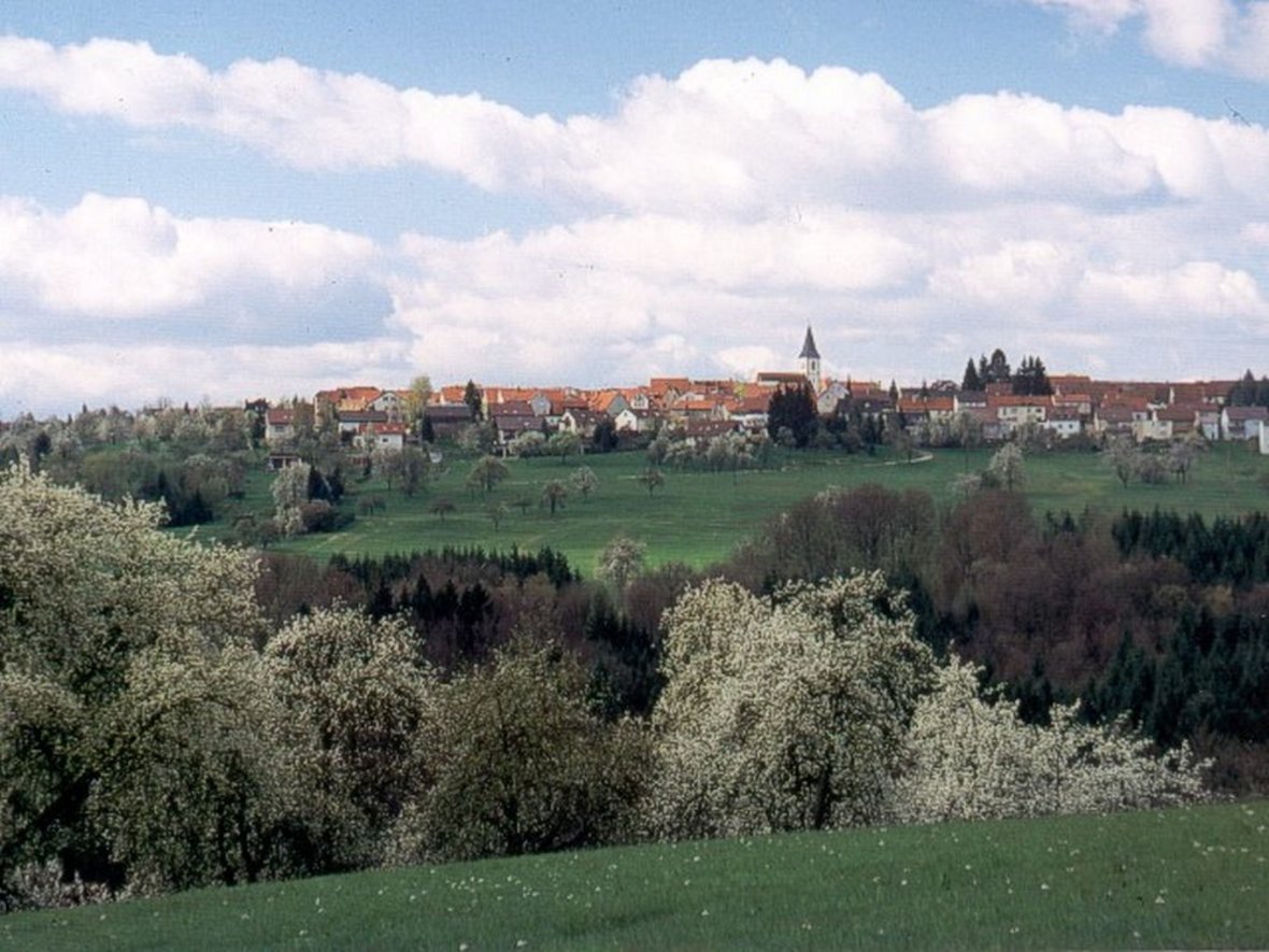 Ortsansicht Baltmannsweiler - Blick von einem Hügel auf Baltmannsweiler