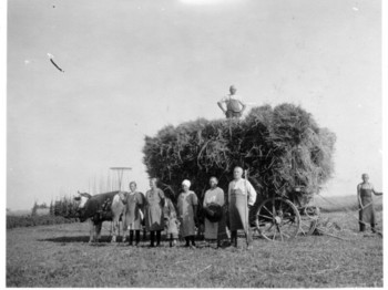 Historisches Bild der Arbeit auf dem Feld