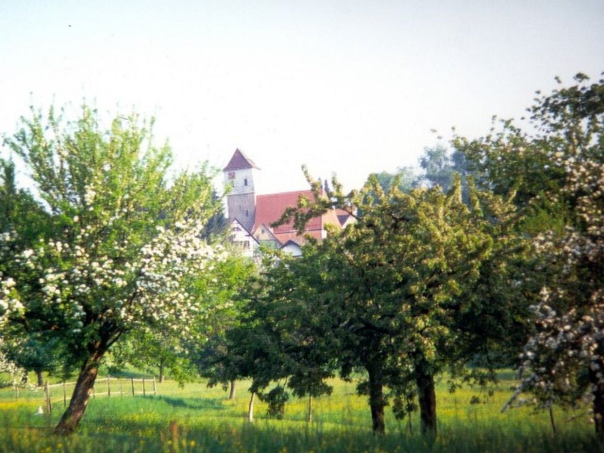 Ortsansicht Hohengehren - Blick von einer Streuobstwiese auf die Kirche