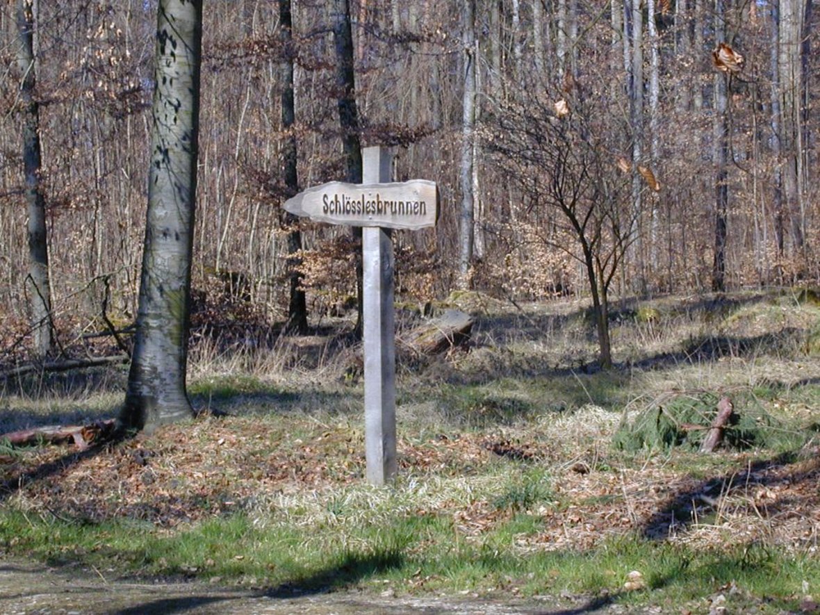 Weg zum Schlösslesbrunnen
